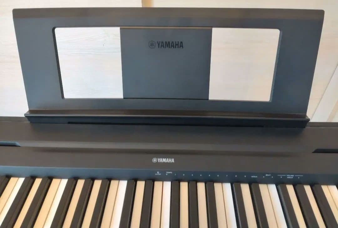 Lisa【手渡し限定】2021年製 ヤマハ P-45B Xスタンド イス