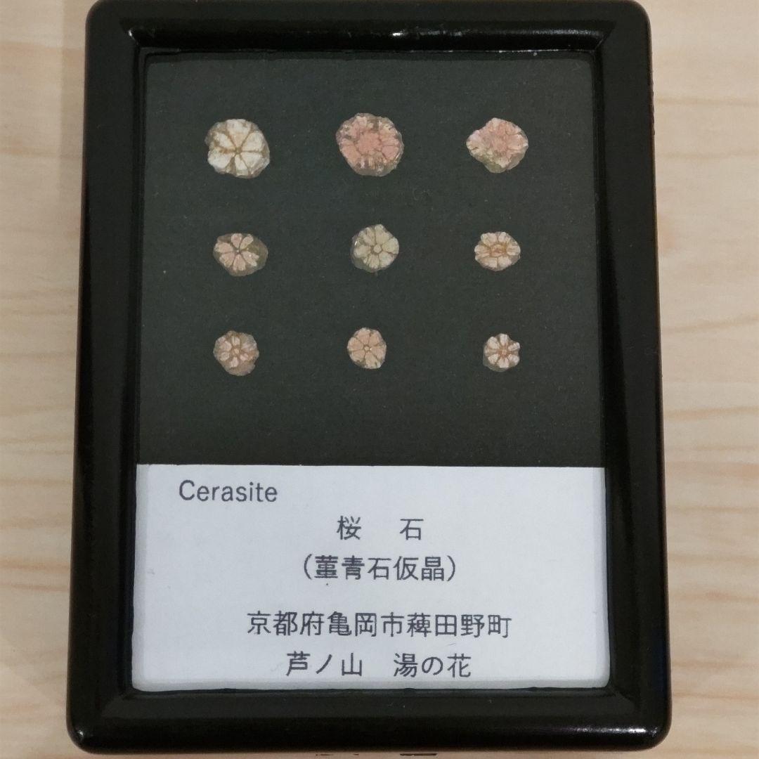 し*ん様 桜石　ピンク色　京都府亀岡市産　9個セット ケース付き